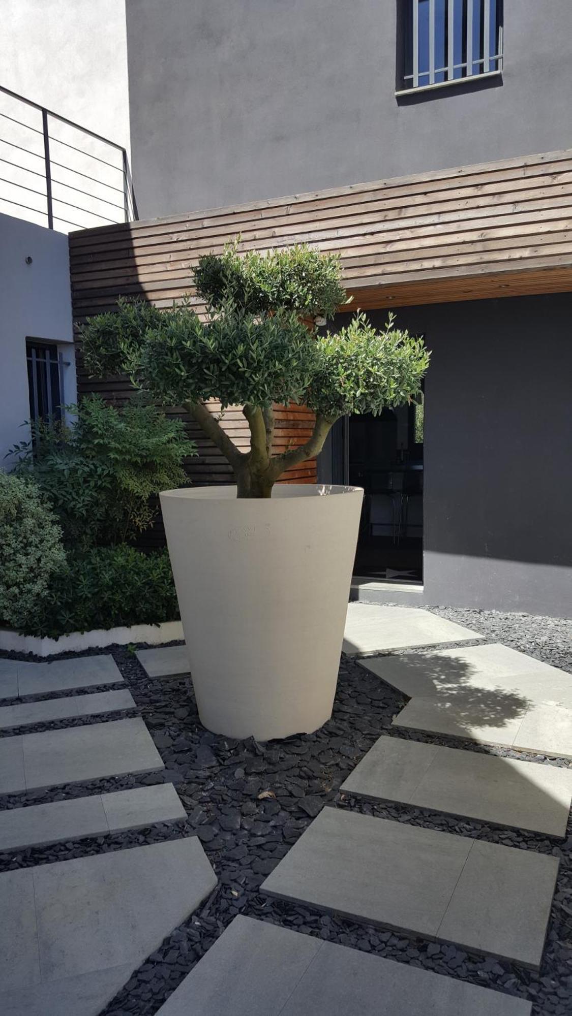 Villa Montpellier Esterno foto